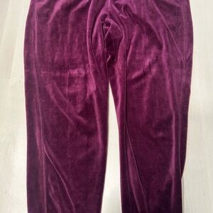 Fashion Nova Velvet Joggers in Deep Purple